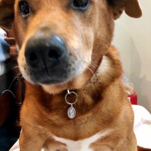 Sterling Silver plated necklace St Francis Saint Francis CHARITY - Picture 3 of 5